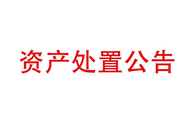 闲置装备资产处置惩罚通告（2023-17)